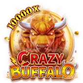 Crazy Buffalo