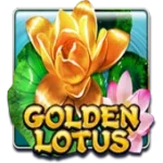 Golden Lotus